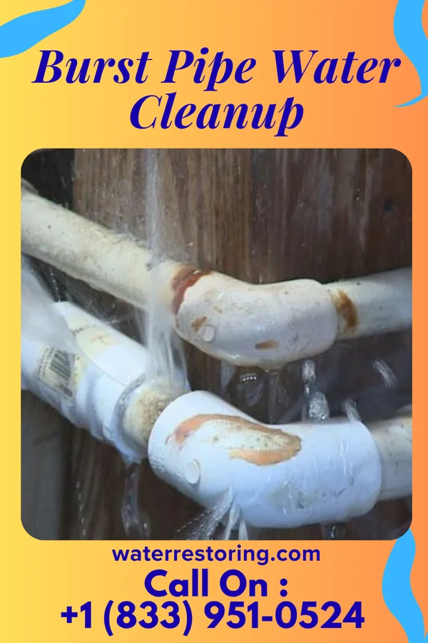 Burst Pipe Water Cleanup in Hendersonville, NC
