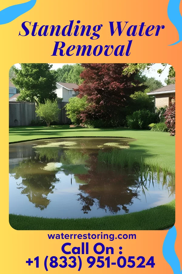 Standing Water Removal in Hendersonville, NC